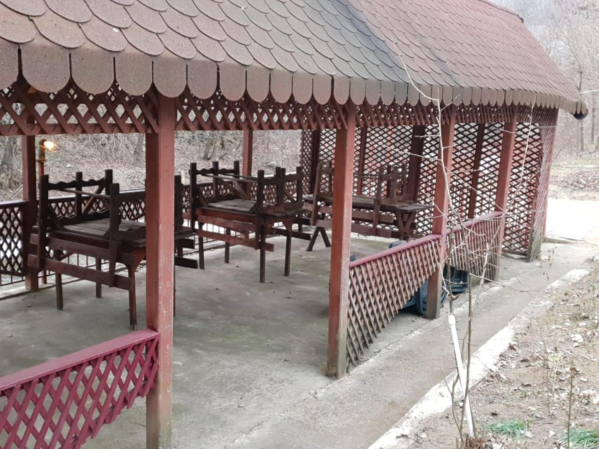 Pensiunea Lucica Sacelu Exterior foto