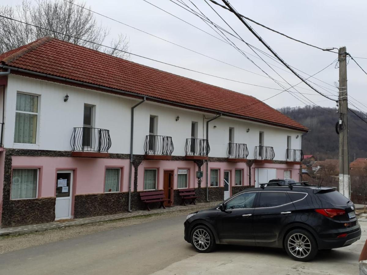 Pensiunea Lucica Sacelu Exterior foto